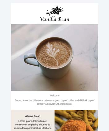 Vanilla Bean Newsletter