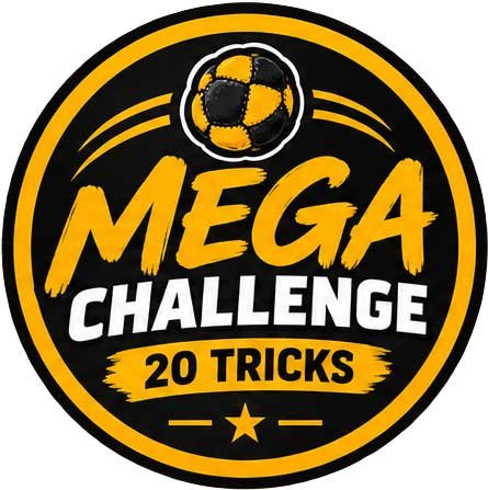 Mega Challenge
